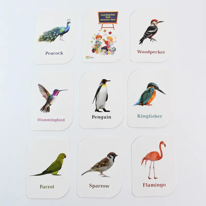KidKraft Bird Flashcards – 32-Piece Educational Identification Cards for Kids