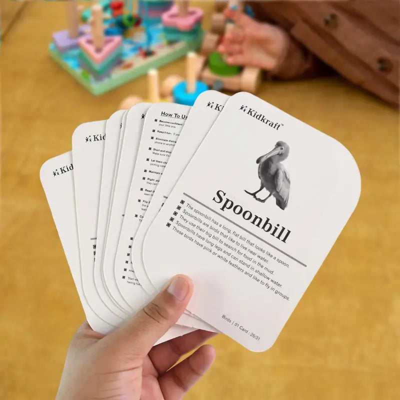 KidKraft Bird Flashcards
