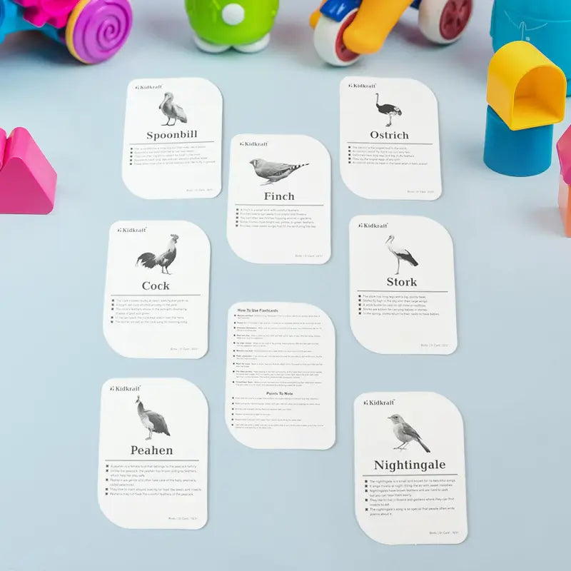 KidKraft Bird Flashcards – 32-Piece Educational Identification Cards for Kids