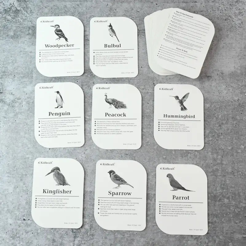 KidKraft Bird Flashcards – 32-Piece Educational Identification Cards for Kids